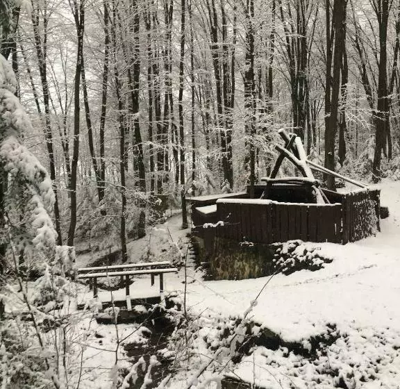 Hotelli база відпочинку шиповець