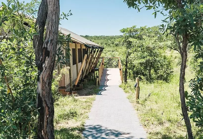 ホテル Mdluli Safari Lodge