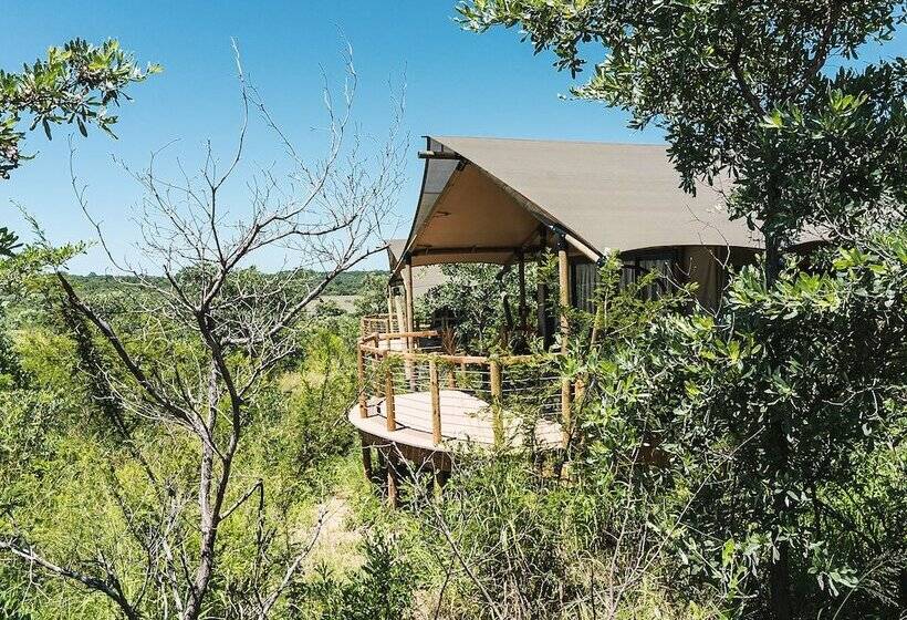 فندق Mdluli Safari Lodge