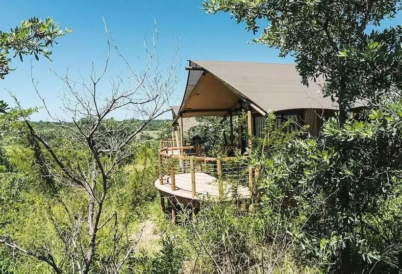ホテル Mdluli Safari Lodge