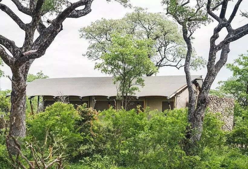 ホテル Mdluli Safari Lodge