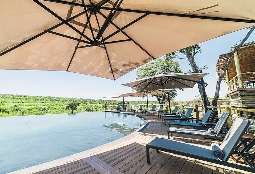 ホテル Mdluli Safari Lodge