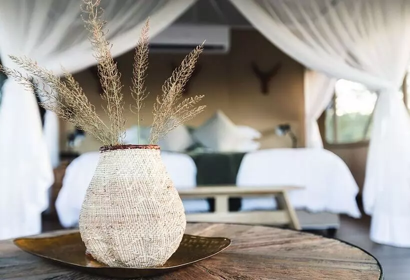 ホテル Mdluli Safari Lodge