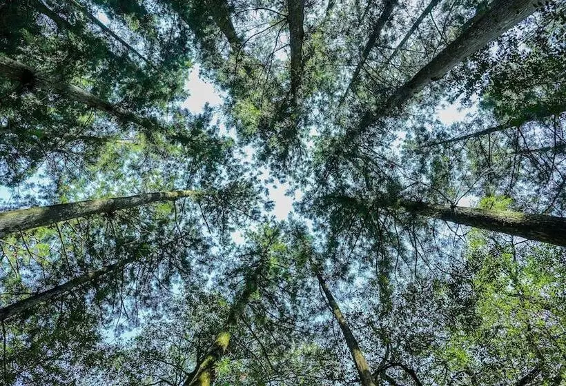 ホテル Riverside Lodge