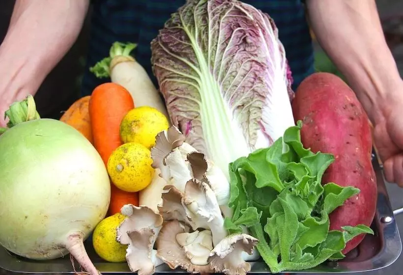 ホテル Riverside Lodge