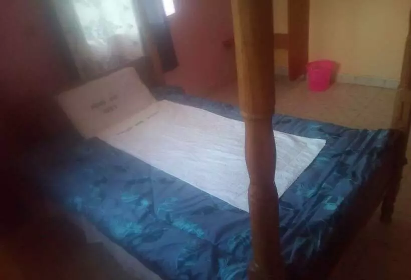 پانسیون 3 In 1