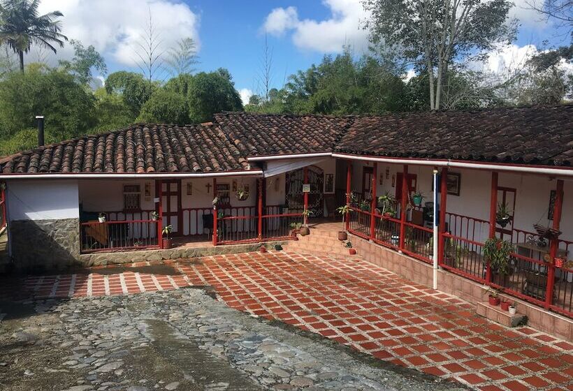 پانسیون Apartahotel Bareque Centro