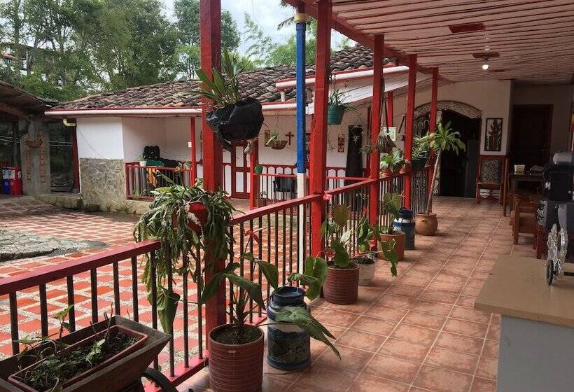 پانسیون Apartahotel Bareque Centro