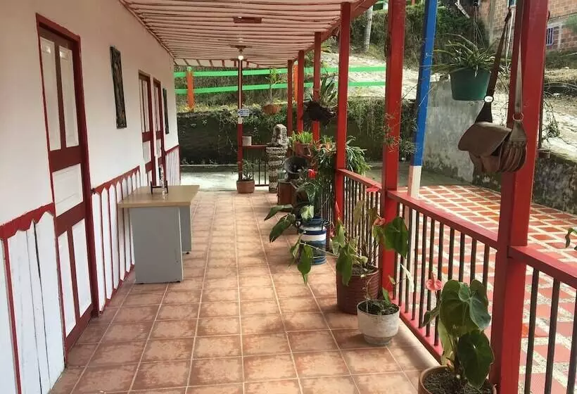 ペンション Apartahotel Bareque Centro