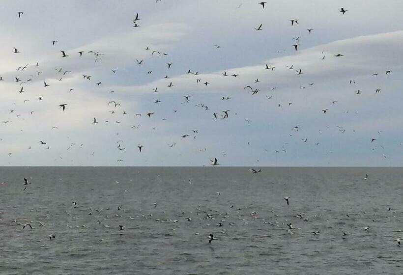 住宿加早餐  Gîte Shoreline De La Terre à La Mer