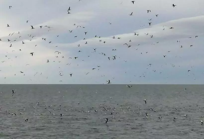 Aamiaismajoitus (B&B) Gîte Shoreline De La Terre à La Mer