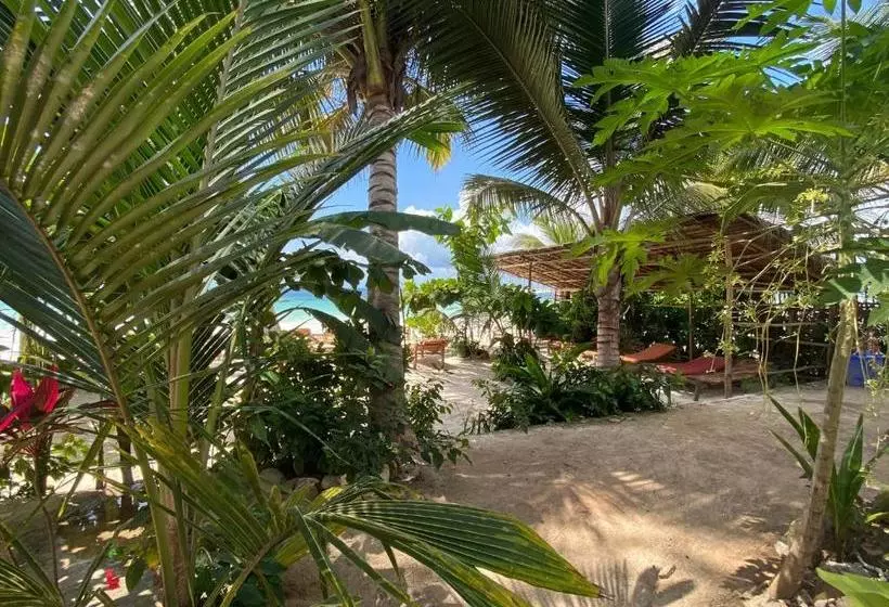 Hotelli Mobydick Lodge