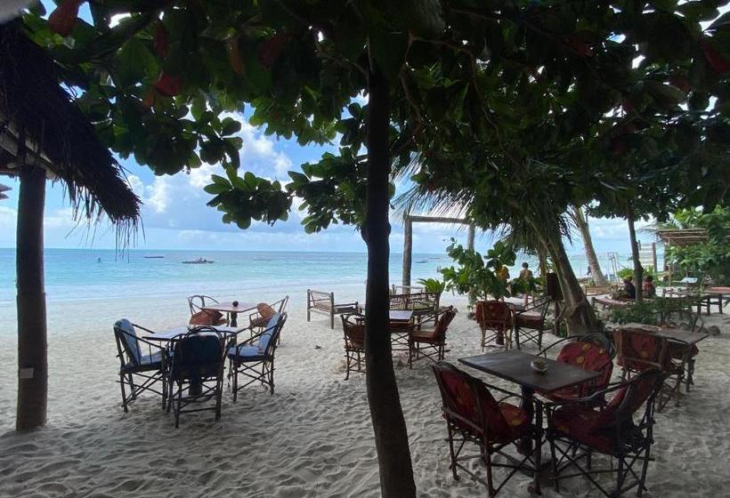 فندق Mobydick Lodge