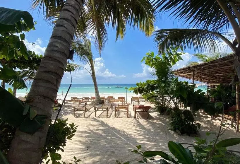 Hotelli Mobydick Lodge