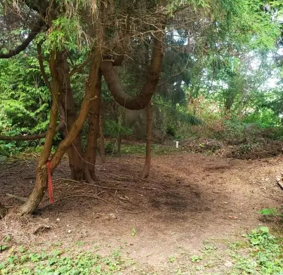 پانسیون Cedar Pond