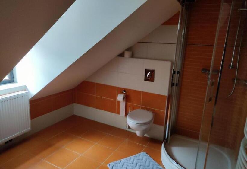 Пансион Penzion My Lady Ii