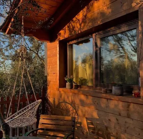 リゾートホテル Mini Spa In Chalet Bosco E Trullo
