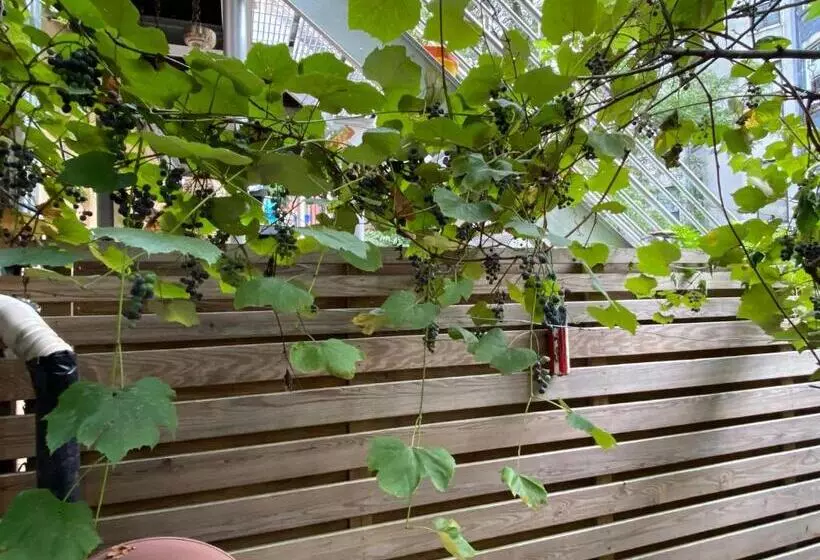 Aamiaismajoitus (B&B) Northern Lights Mansion