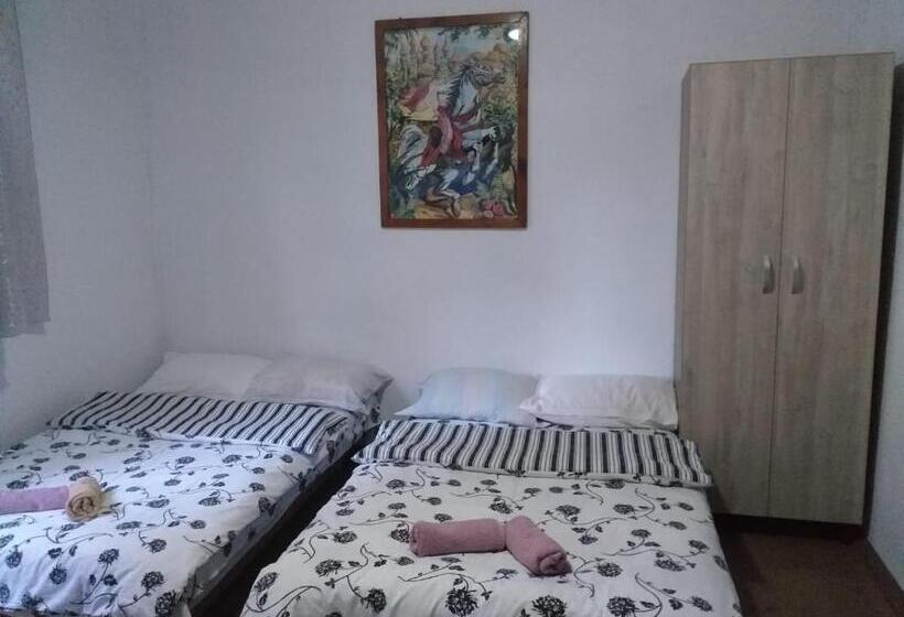 هتل Pensiunea Floare De Colt