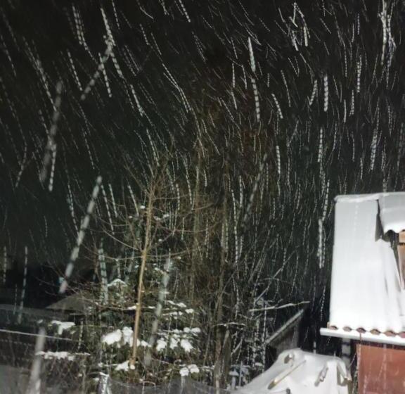 هتل Pensiunea Floare De Colt