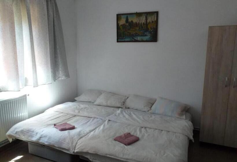 هتل Pensiunea Floare De Colt