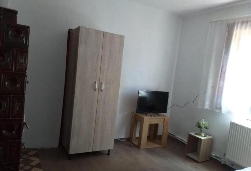 هتل Pensiunea Floare De Colt