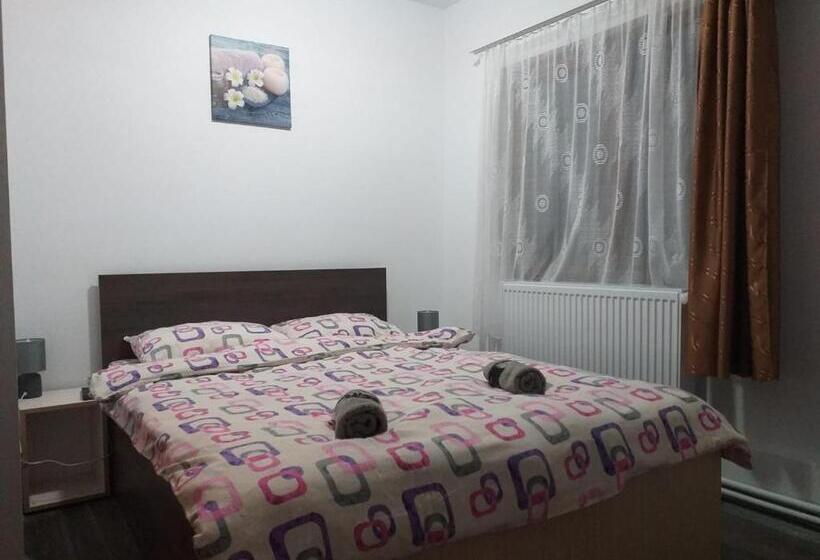 هتل Pensiunea Floare De Colt