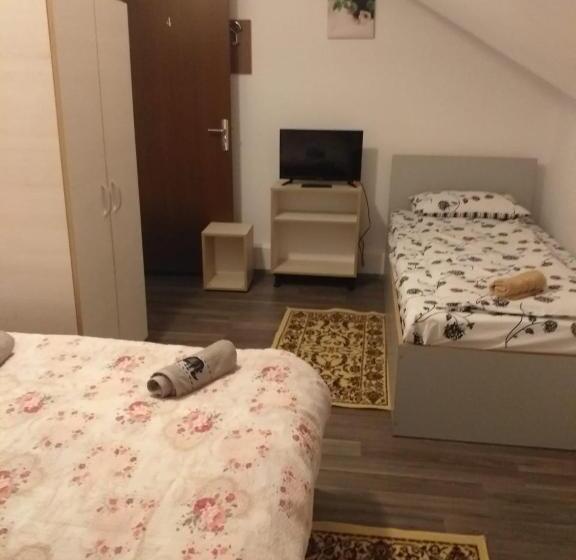 هتل Pensiunea Floare De Colt