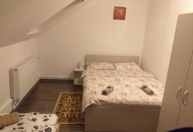 هتل Pensiunea Floare De Colt