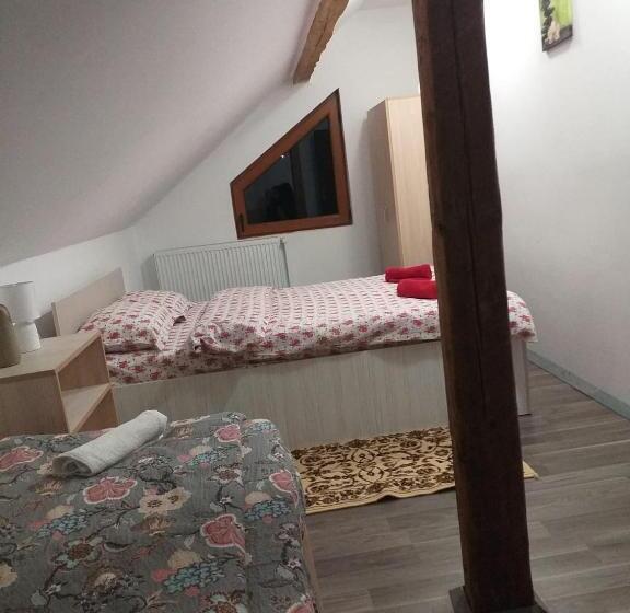 هتل Pensiunea Floare De Colt