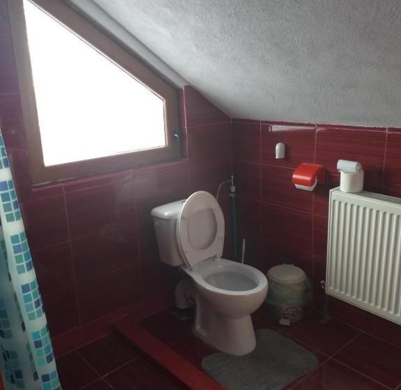 هتل Pensiunea Floare De Colt