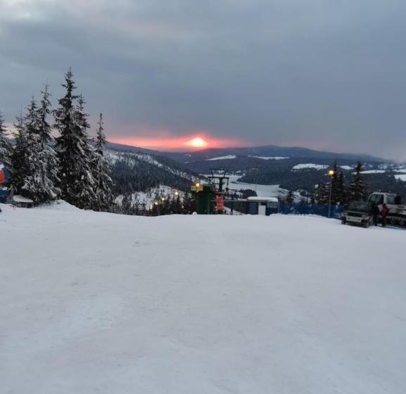 هتل Pensiunea Floare De Colt