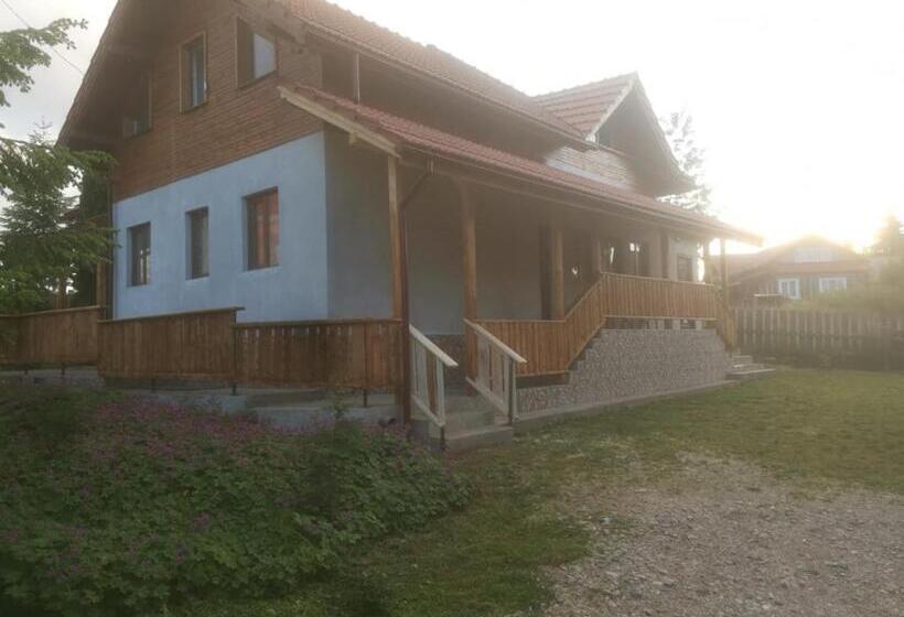 هتل Pensiunea Floare De Colt