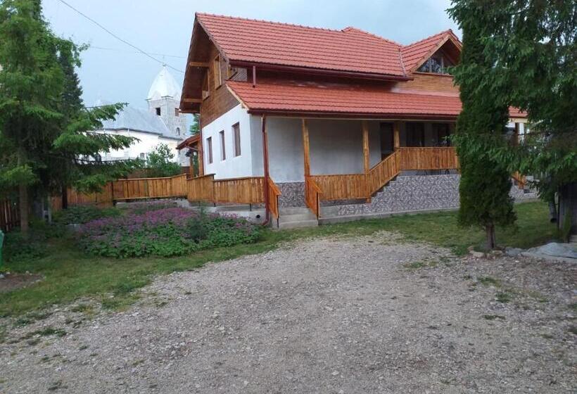 هتل Pensiunea Floare De Colt