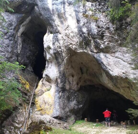 هتل Pensiunea Floare De Colt