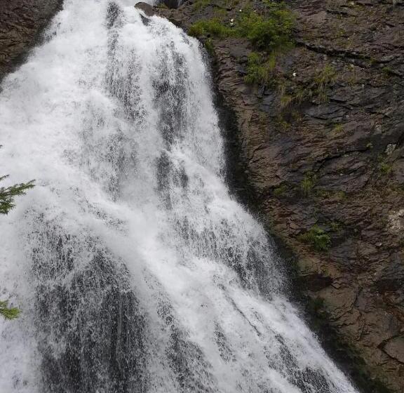 هتل Pensiunea Floare De Colt