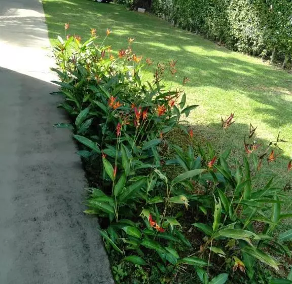 Majatalo Hospedagem Casa Branca Localizada Em Um Bairro Nobre De Capitólio, Escarpas Do Lago