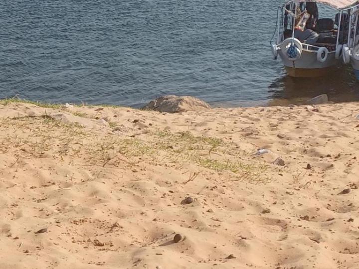 پانسیون Labib Guest House