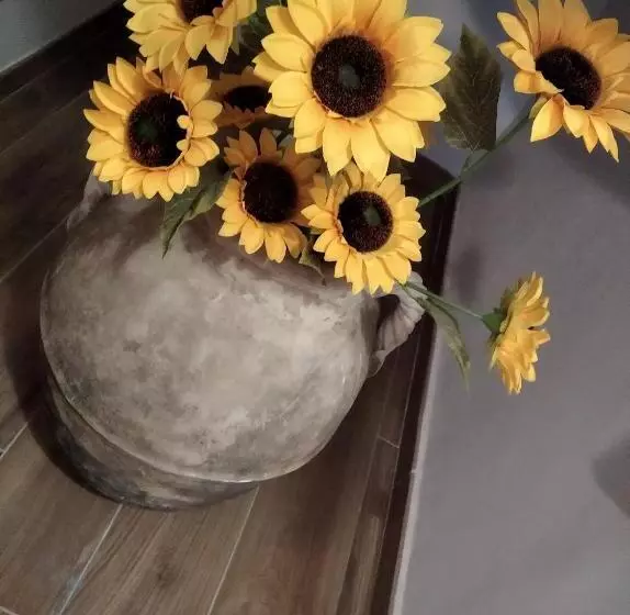 Agriturismo B&b Il Girasole