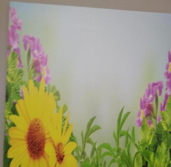 Agriturismo B&b Il Girasole