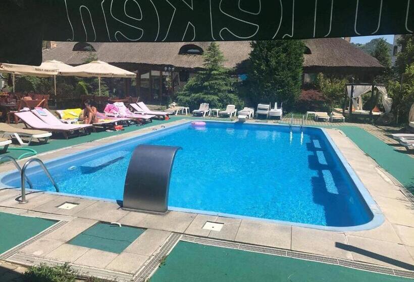 فندق Castelul De Vis