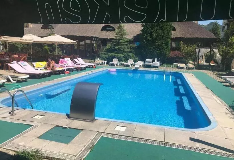 Hotelli Castelul De Vis