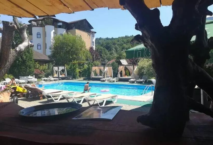 Hotelli Castelul De Vis