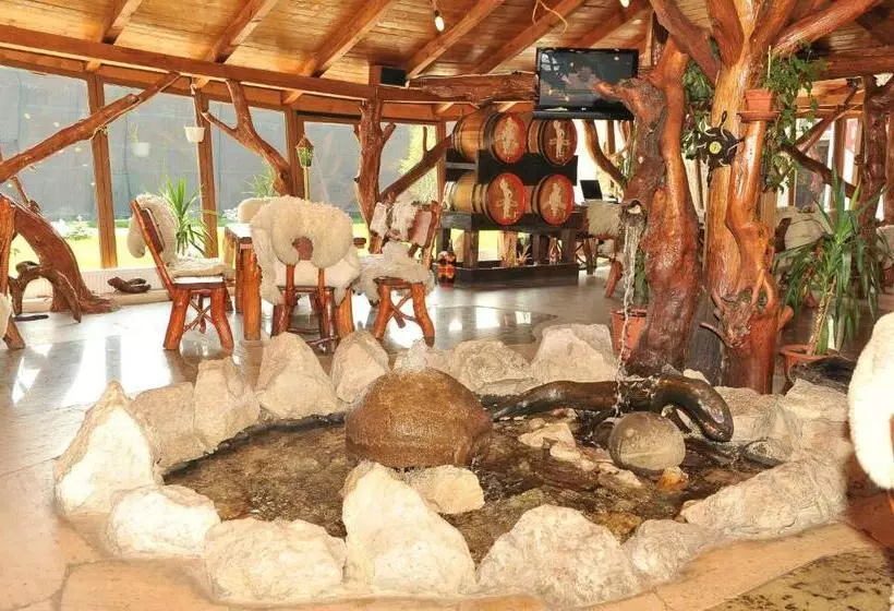 Hotelli Castelul De Vis