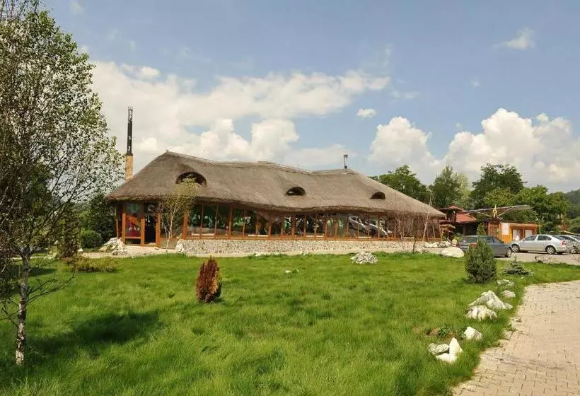 Hotelli Castelul De Vis