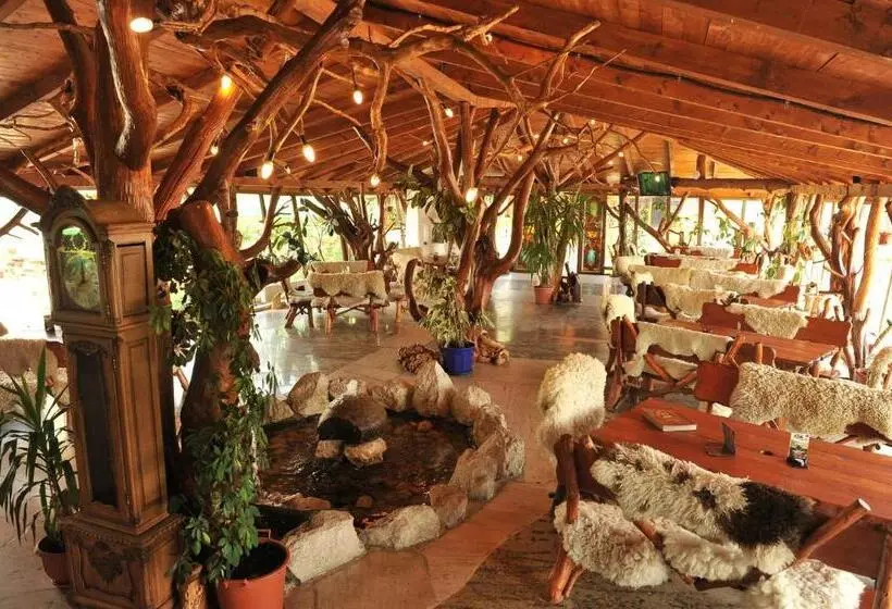 Hotelli Castelul De Vis