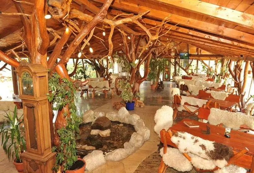 Hotelli Castelul De Vis