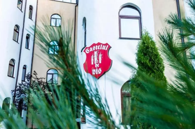Hotelli Castelul De Vis