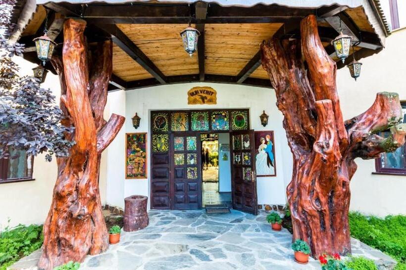 فندق Castelul De Vis