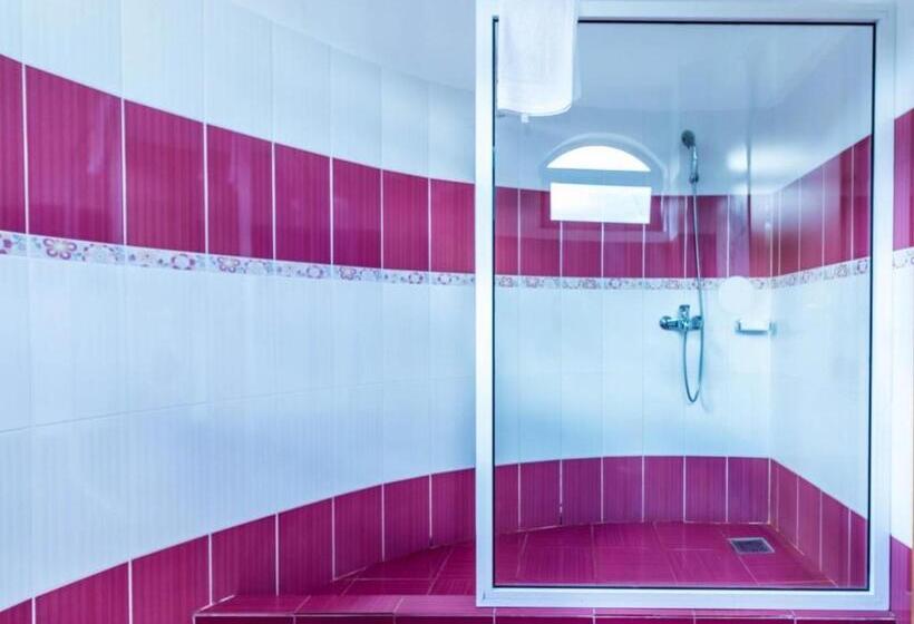 فندق Castelul De Vis